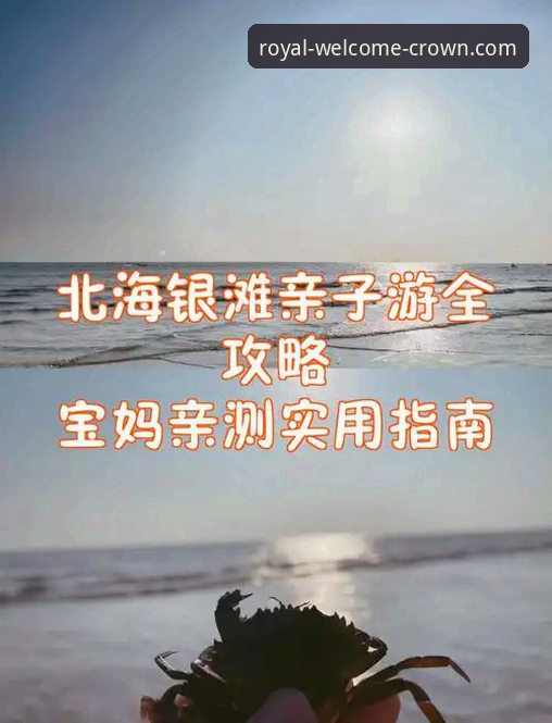 皇冠登陆平台最新版下载安装实用指南：从获取到体验的完整解析