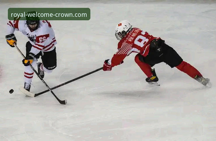 <h2>从阿坎吉处子球洞察现代体育平台的数据化体验</h2>